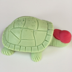 turtle with hat-224